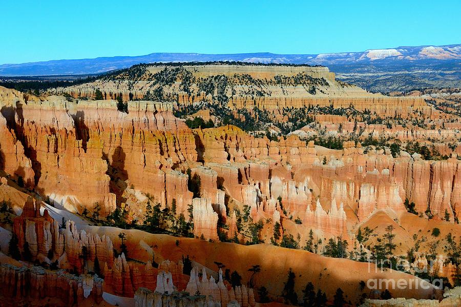 Bryce Canyon #57 Photograph by Marc Bittan