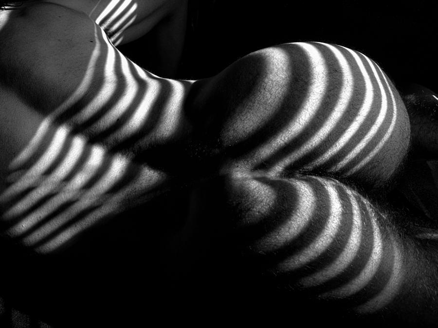 5750 Zebra Striped Male Nude Back Photograph by Chris Maher