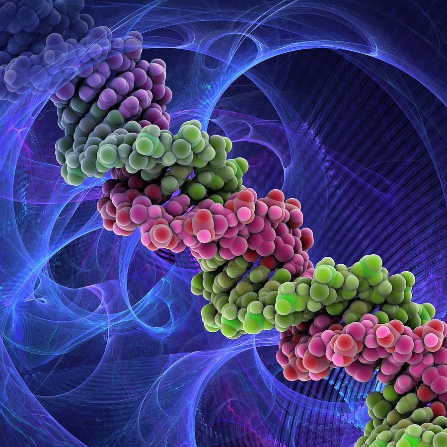 Dna Molecule Photograph by Laguna Design/science Photo Library | Fine ...