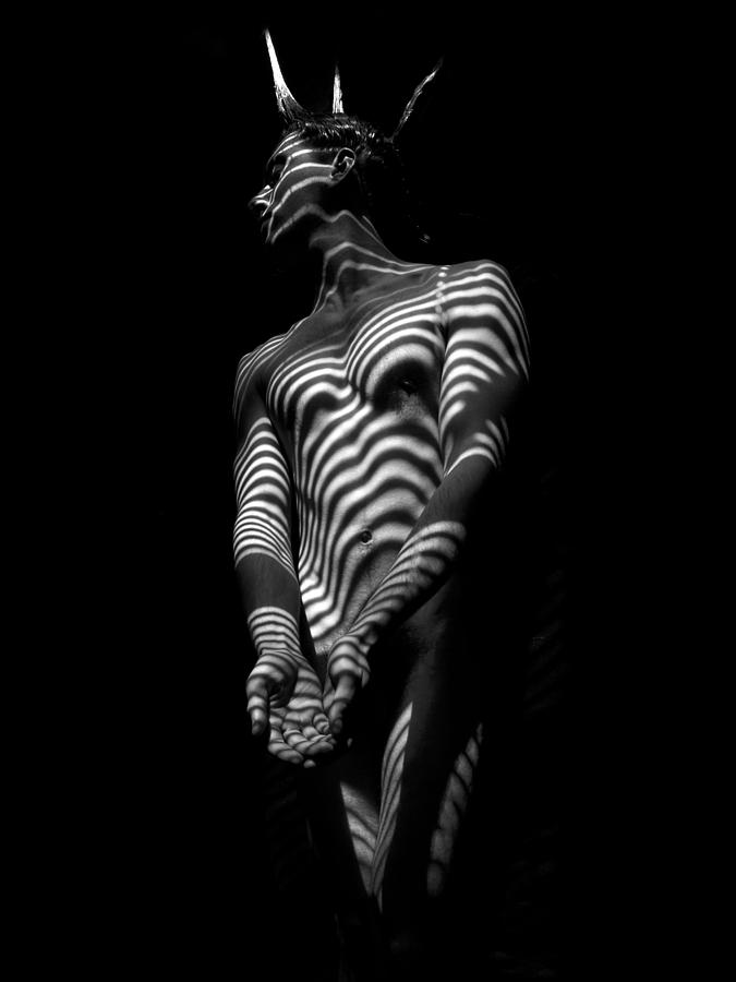 5812 Zebra Striped Male Body in Black and White Photograph by Chris Maher