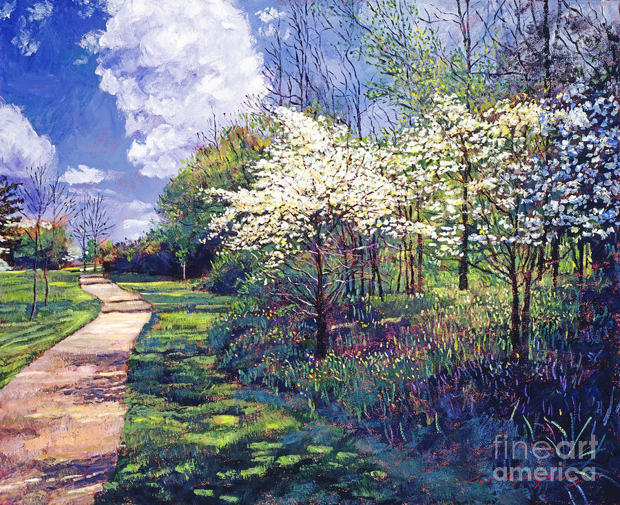 Spring Painting - Dogwood Trees in Bloom by David Lloyd Glover