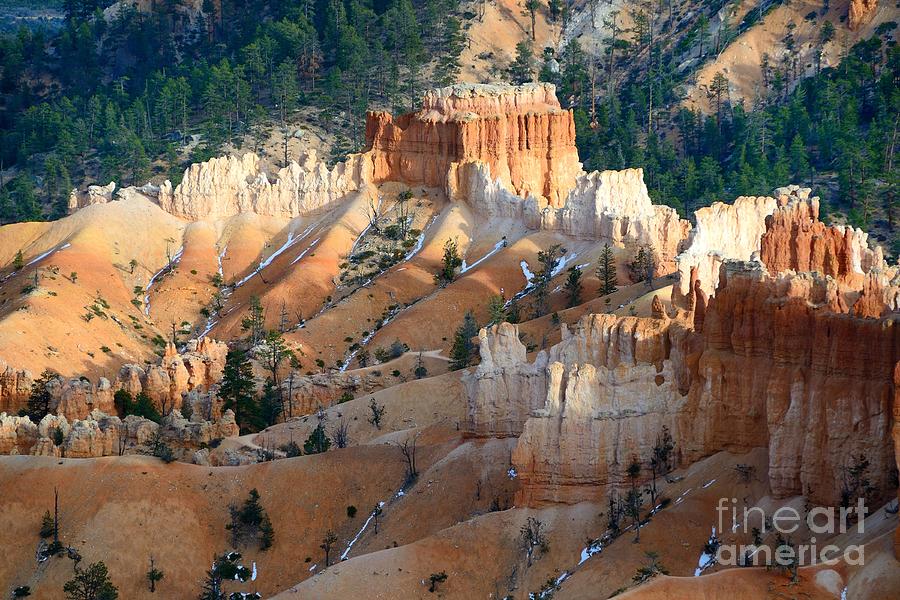 Bryce Canyon #59 Photograph by Marc Bittan