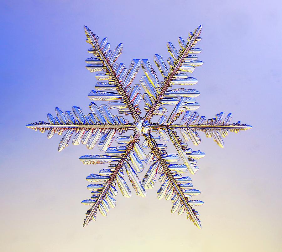 Snowflake #59 Photograph by Kenneth Libbrecht