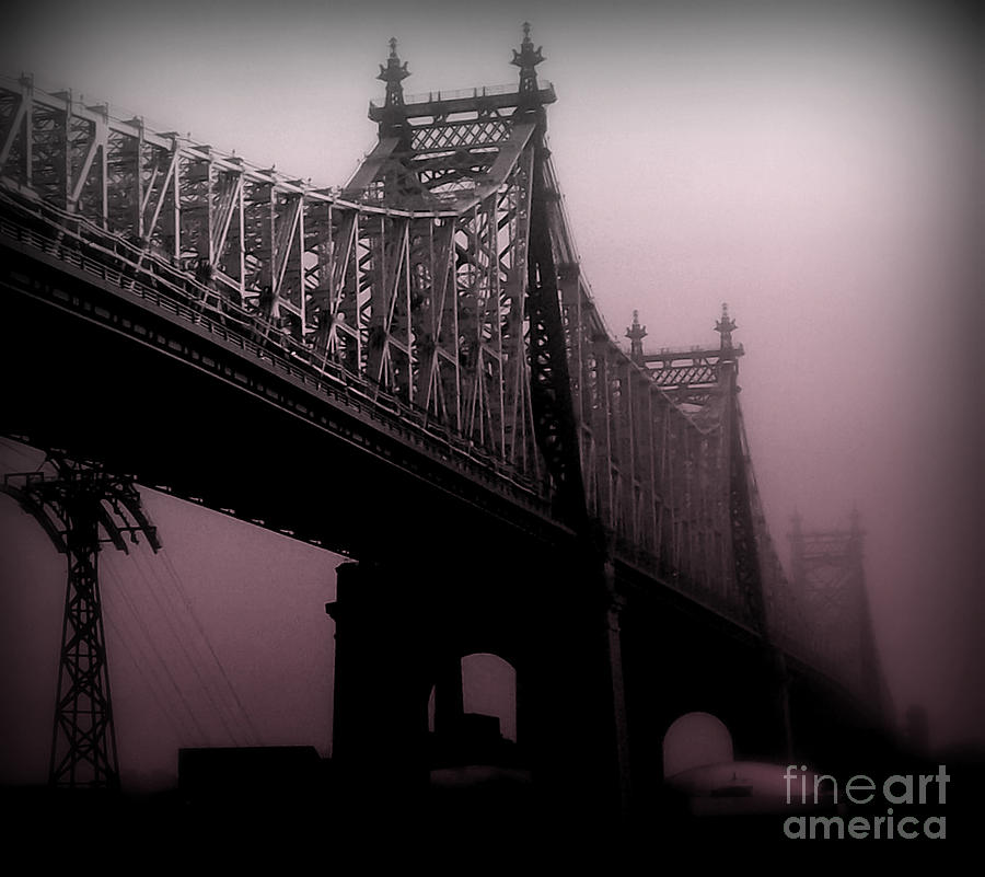 Architecture Photograph - 59th Street Bridge in Rose - Bridges of New York City by Miriam Danar