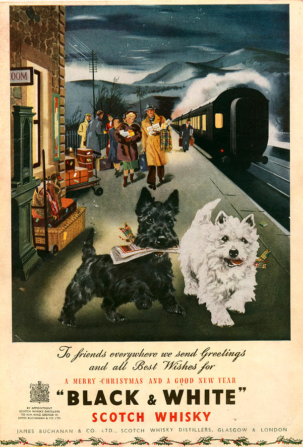 Dog Photograph - 1940s Uk Black And White Magazine Advert #6 by The Advertising Archives