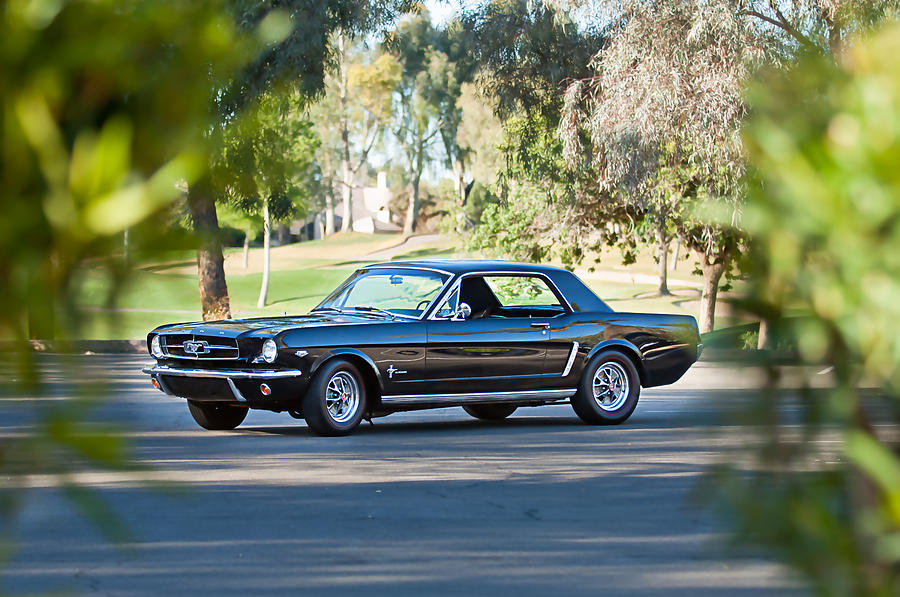 1965 Shelby Prototype Ford Mustang #5 Photograph by Jill Reger