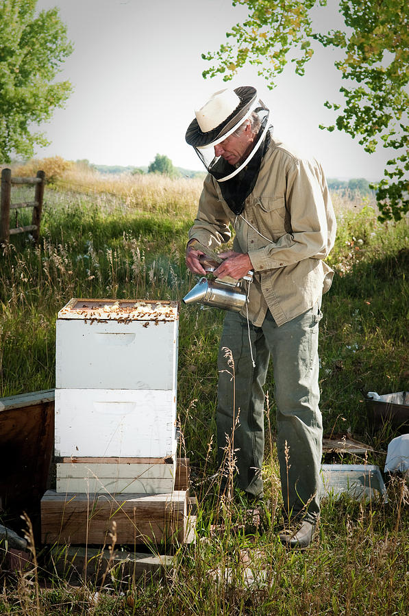 Animal Photograph - A Bee Keeper Checks On The Health #6 by Randall Levensaler