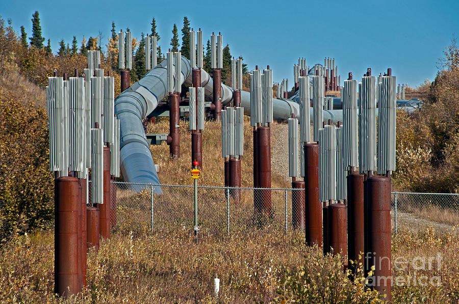 Alaska Oil Pipeline #6 Photograph by Mark Newman
