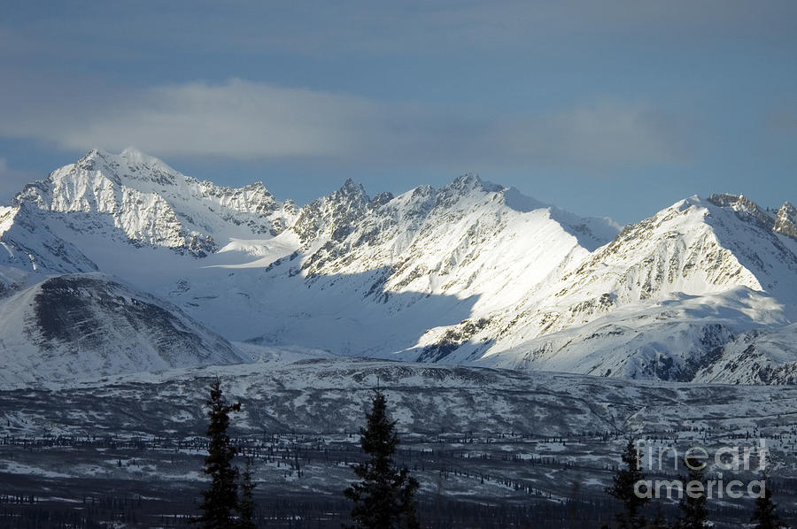 Alaska Range #6 Photograph by Mark Newman Alaska Range #6 Photograph by Mark Newman
