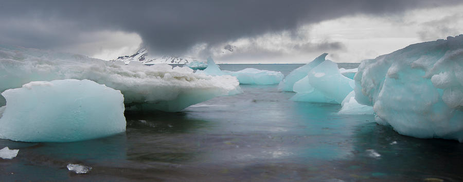 Antarctica #6 Photograph by Michael Leggero