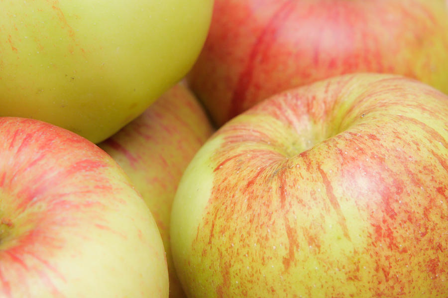 Apple Photograph - Apples #6 by Tom Gowanlock