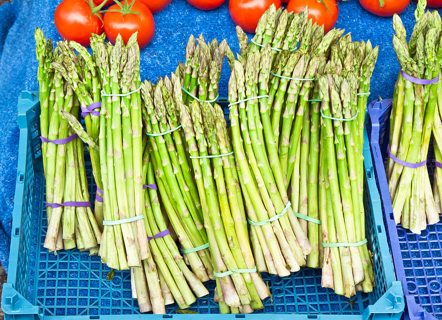 Asparagus Photograph - Asparagus #6 by Tom Gowanlock
