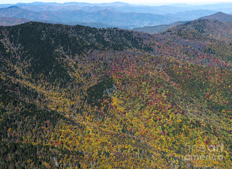 Autumn Colors Along The Blue Ridge Parkway in Western North Carolina Photograph by David Oppenheimer