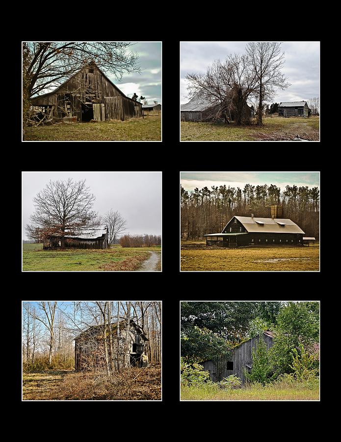 6 Barn Collection in Black Photograph by Greg Jackson
