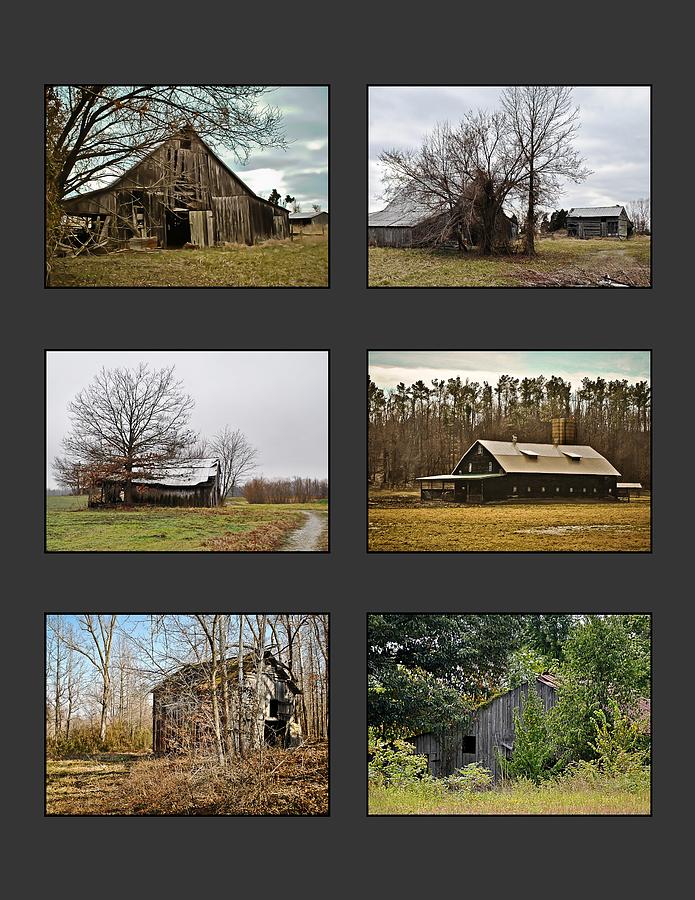 6 Barn Collection in Gray Photograph by Greg Jackson