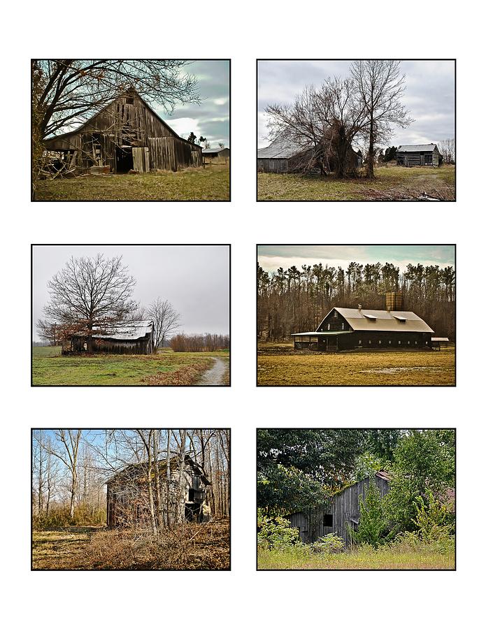 6 Barn Collection in White Photograph by Greg Jackson