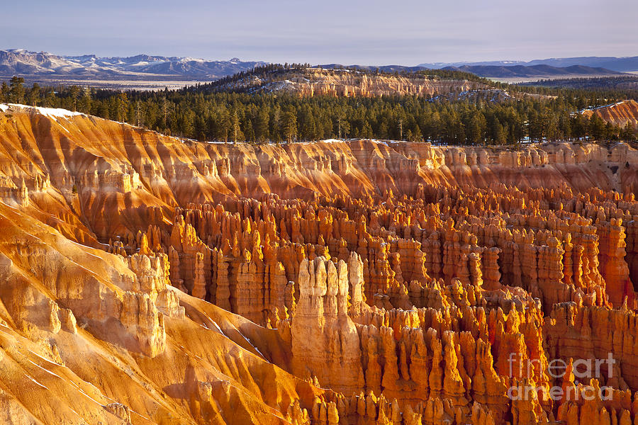 Bryce Canyon IV Photograph by Brian Jannsen