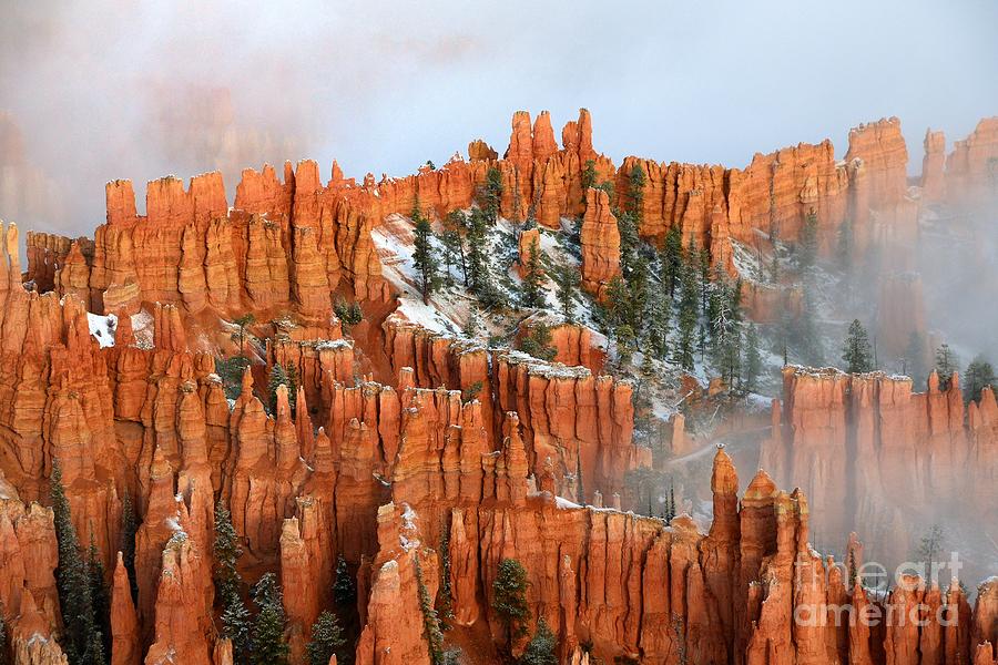 Bryce Canyon #6 Photograph by Marc Bittan