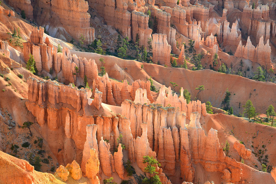 Bryce Canyon #4 Photograph by Ray Mathis