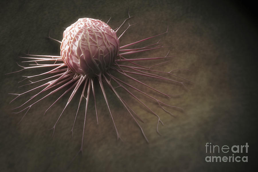 Cancer Cell #6 Photograph by Science Picture Co