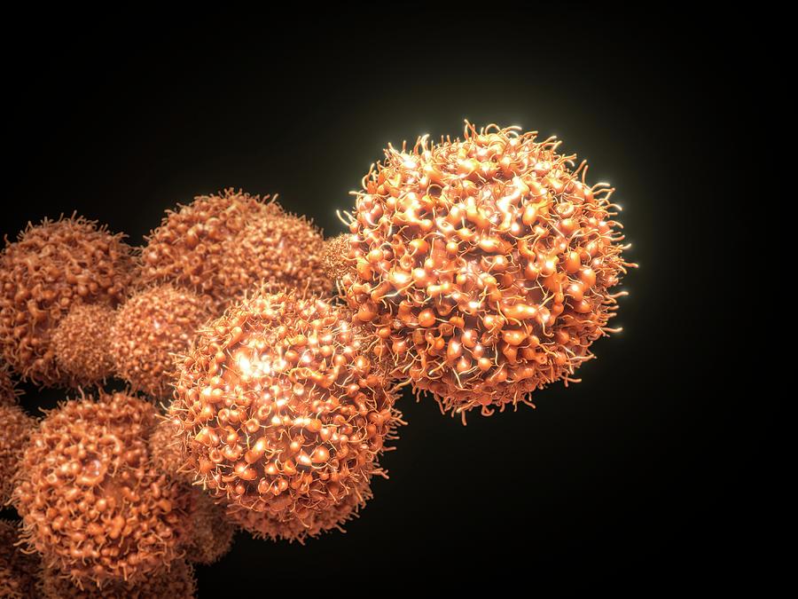 Nobody Photograph - Cancer Cells #6 by Maurizio De Angelis