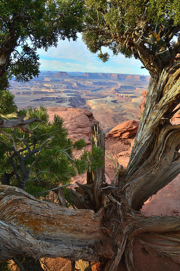 Canyonlands #8 Photograph by Ray Mathis