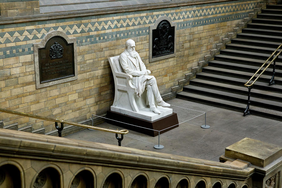 Charles Darwin #6 Photograph by Natural History Museum, London/science Photo Library
