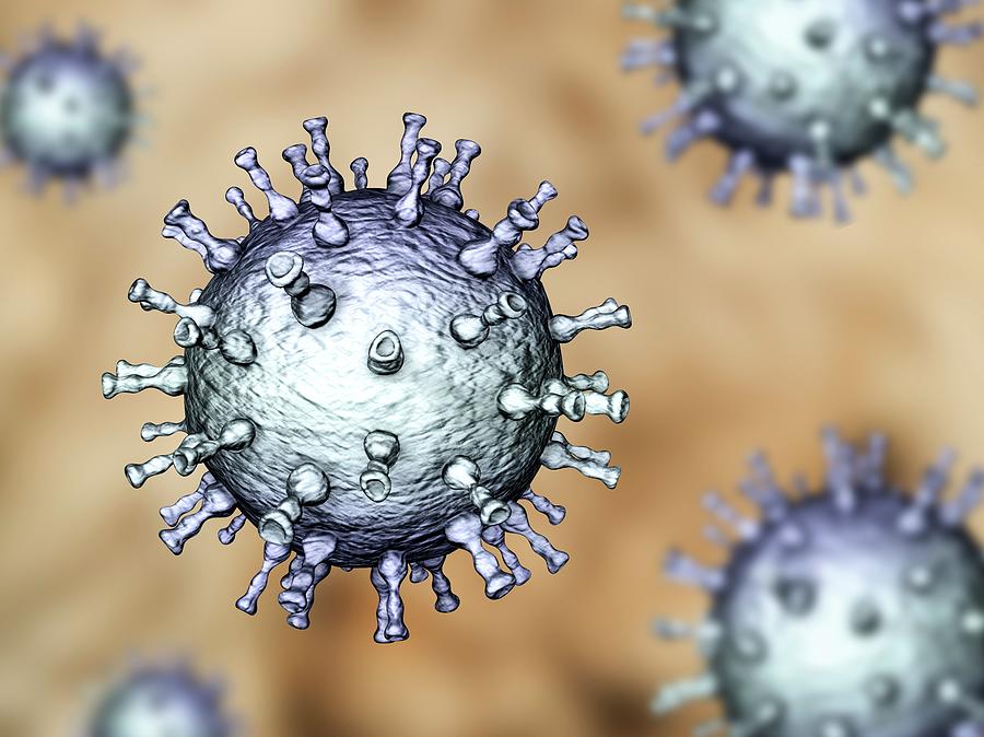 Chickenpox Virus #6 Photograph by Kateryna Kon/science Photo Library