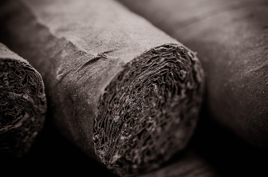 Cigars #6 Photograph by Brandon Bourdages