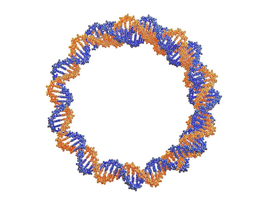 Circular Dna Molecule #6 by Alfred Pasieka/science Photo Library