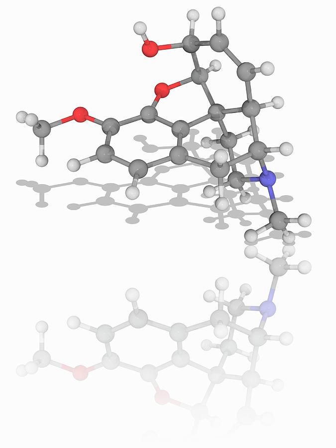 Молекула 06. Fe3o4 молекула. Молекула шерсти картинка. Молекула коронавируса в векторе. Деламанид.