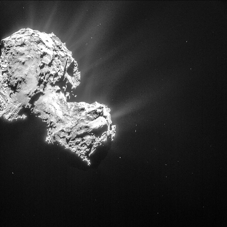 Comet 67pchuryumov-gerasimenko #6 Photograph by Science Source