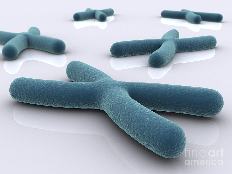 Color Image Digital Art - Conceptual Image Of Chromosome #6 by Stocktrek Images