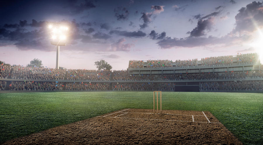 Cricket: Cricket stadium #6 Photograph by Aksonov