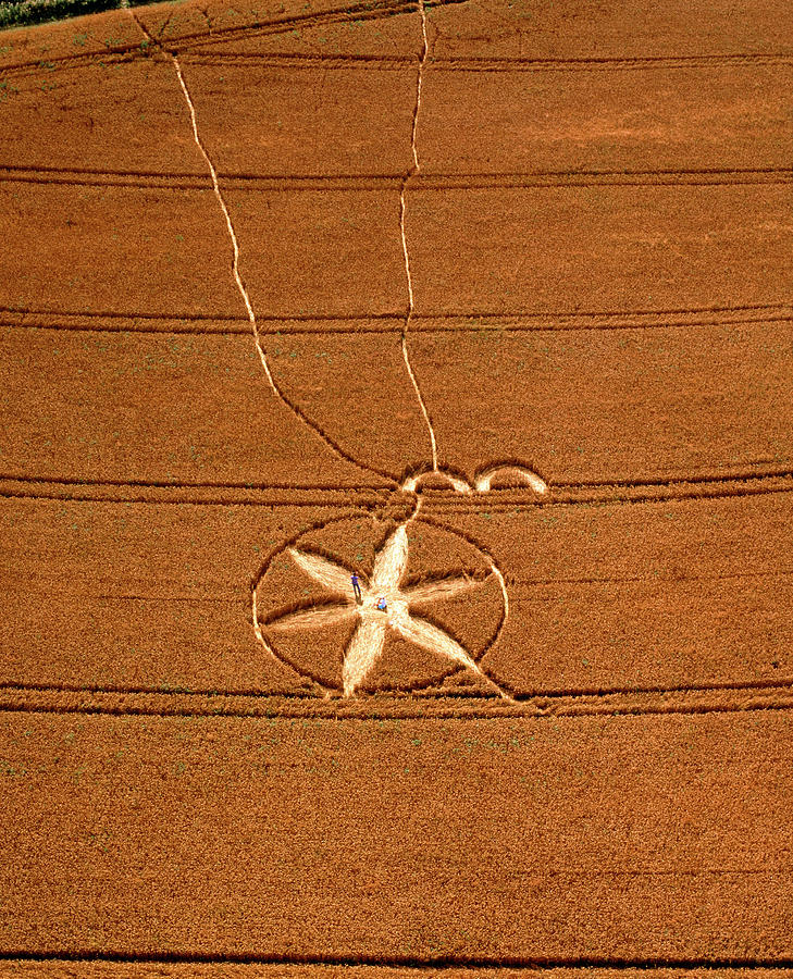 Crop Formation #6 Photograph by David Parker/science Photo Library