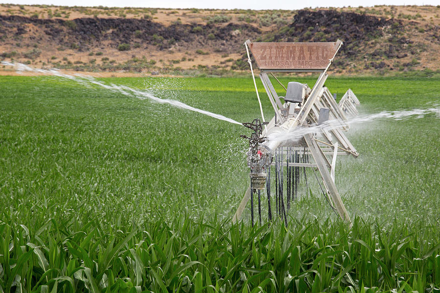 Crop Irrigation #6 by Jim West