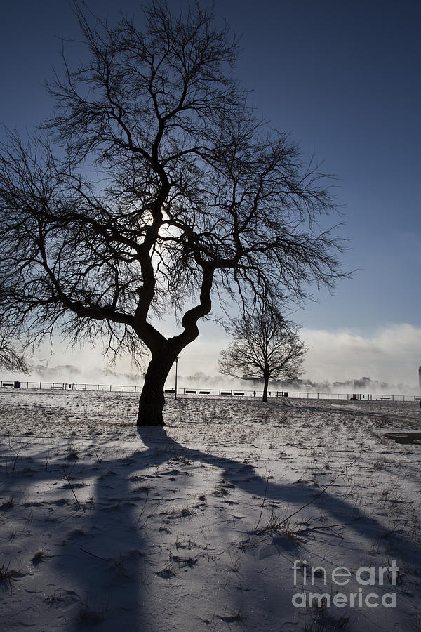 Environment Photograph - Detroit Winter by Jim West