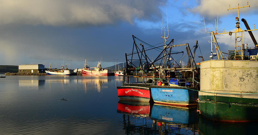 Boat Photograph - Dingle Harbor #6 by Barbara Walsh