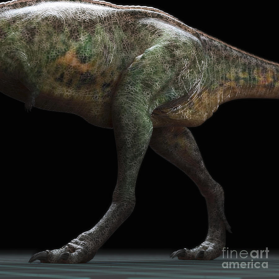 Dinosaur Aucasaurus #6 Photograph by Science Picture Co