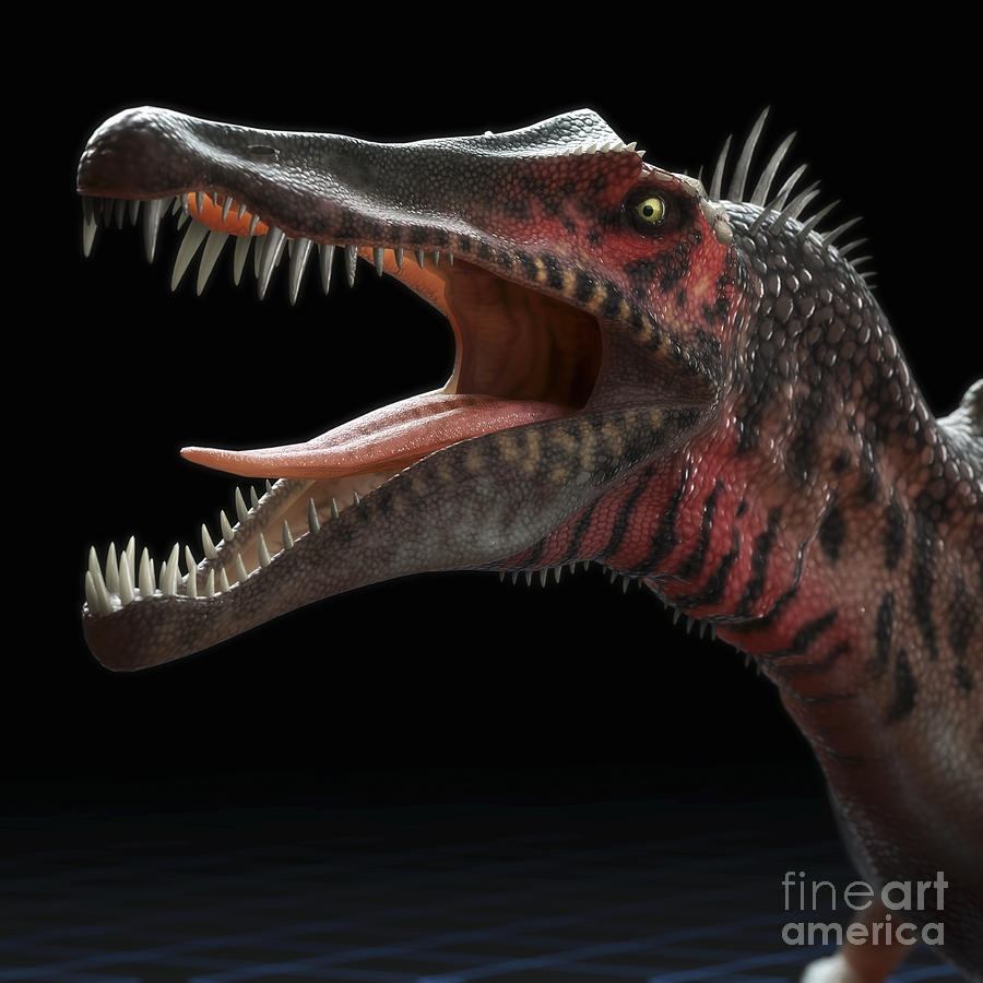 Dinosaur Spinosaurus #6 Photograph by Science Picture Co