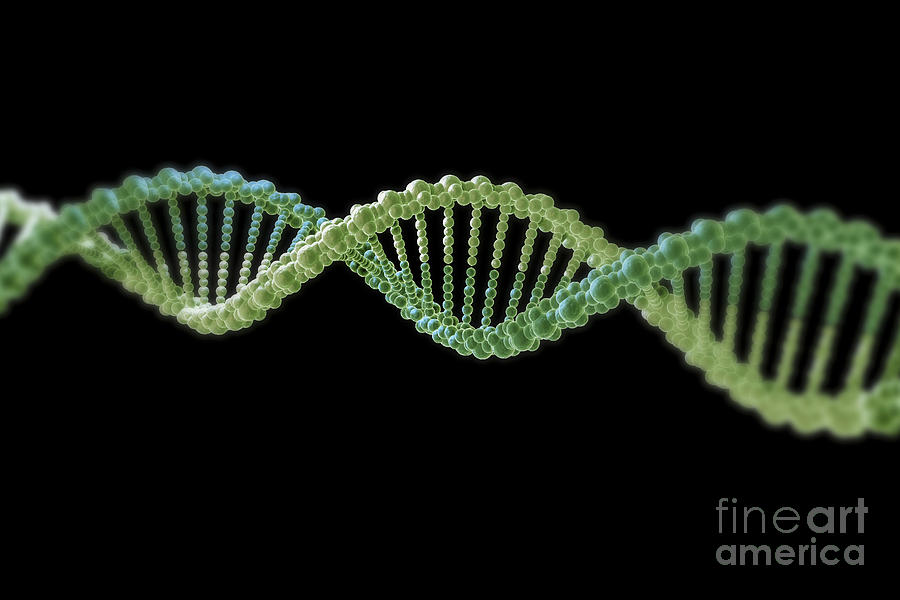 Dna #6 Photograph by Science Picture Co