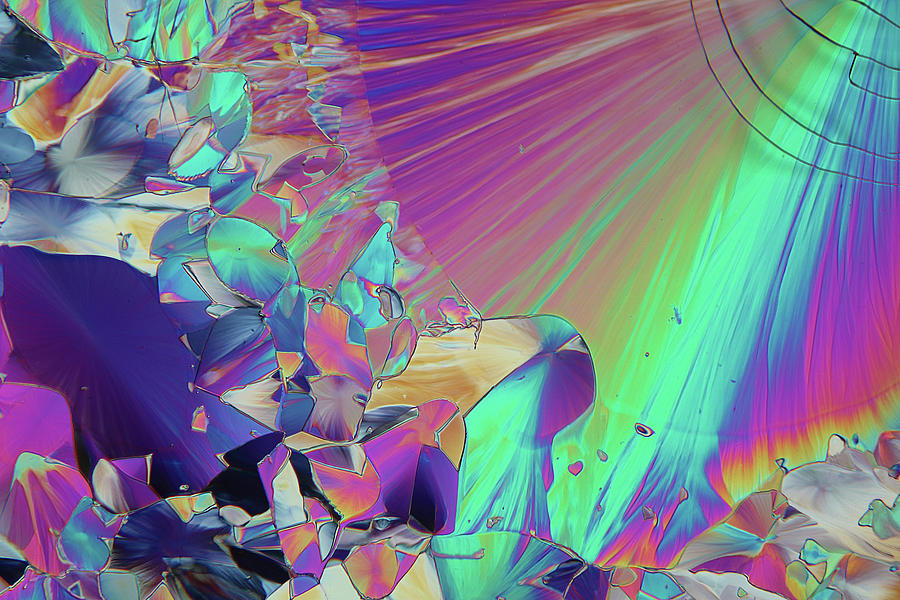 Dopamine Crystals #6 Photograph by Karl Gaff / Science Photo Library