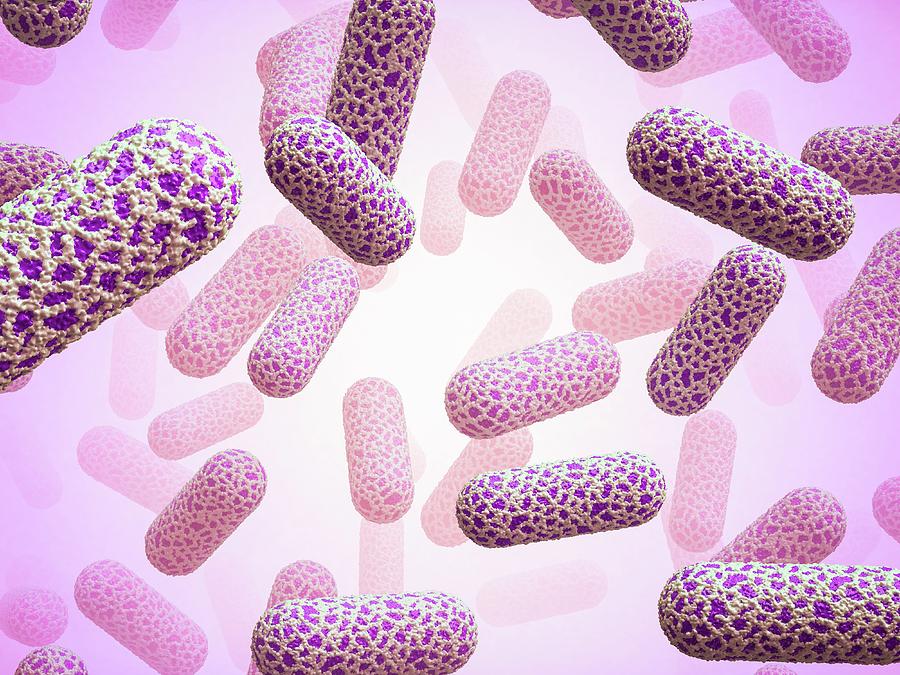 Bacilli Photograph - E. Coli Bacteria #6 by Maurizio De Angelis