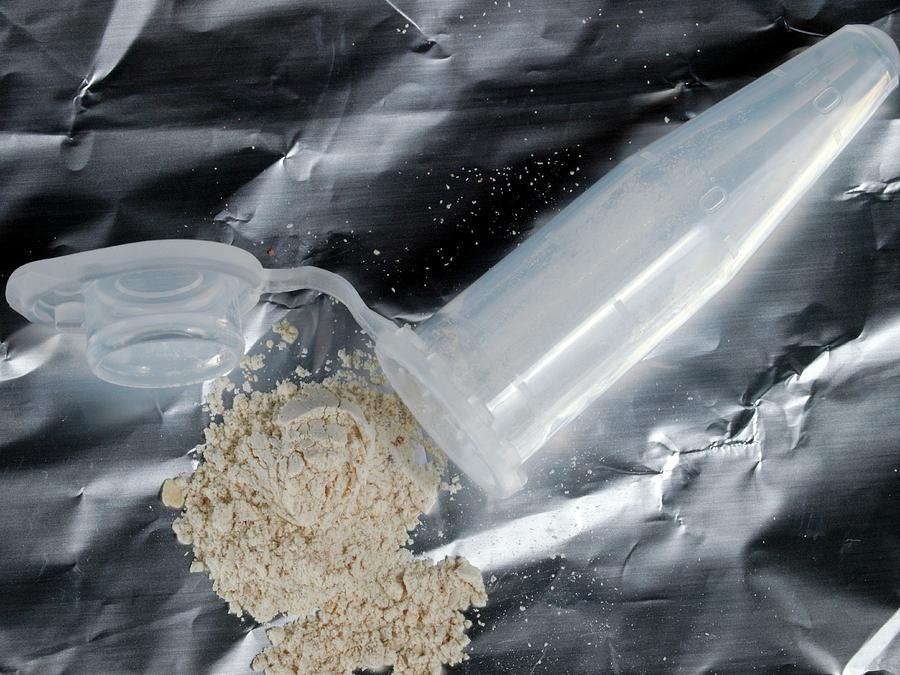 Extraction Of Fossil Dna Photograph by Javier Trueba/msf/science Photo