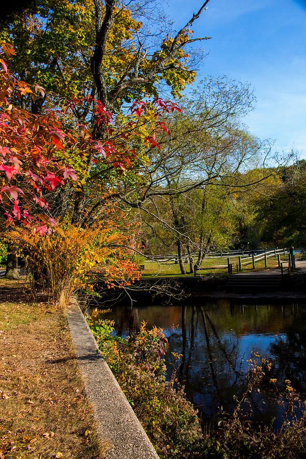 Fall Foliage at Nissequogue River #6 Photograph by Susan Jensen