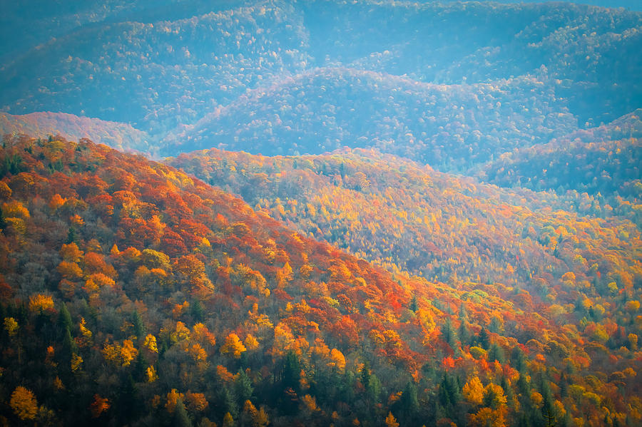 Fall Foliage Great Smoky Mountains Painted #5 Photograph by Rich Franco