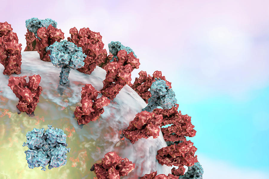 Nature Photograph - Flu Virus #6 by Kateryna Kon/science Photo Library
