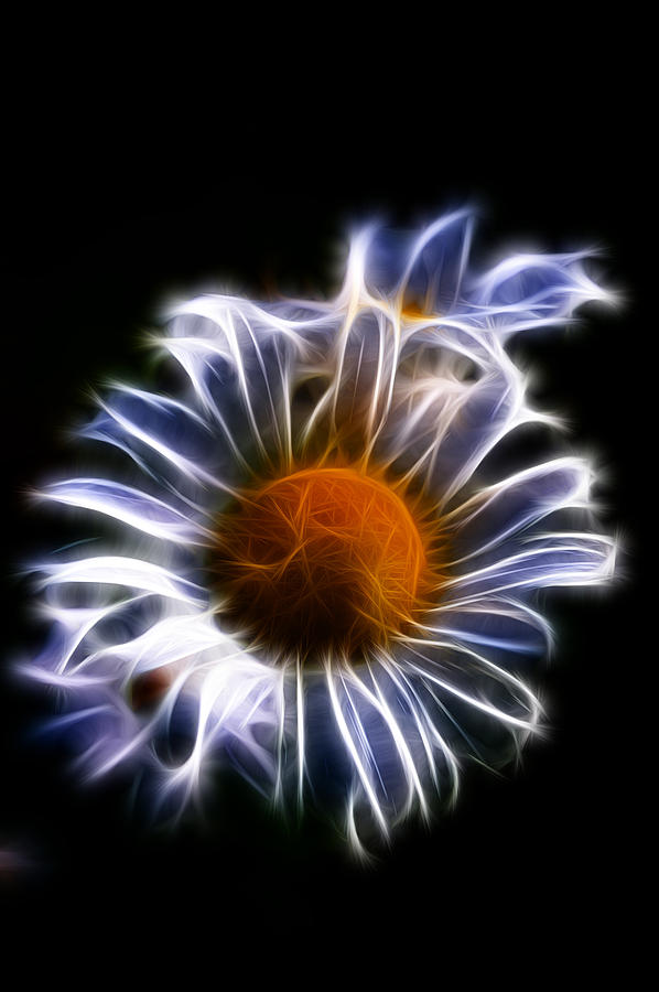 Fractal Flower #6 Photograph by Prince Andre Faubert