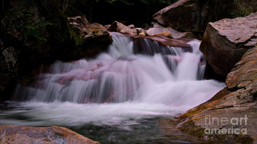 Franconia Notch State Park. #1 Photograph by New England Photography