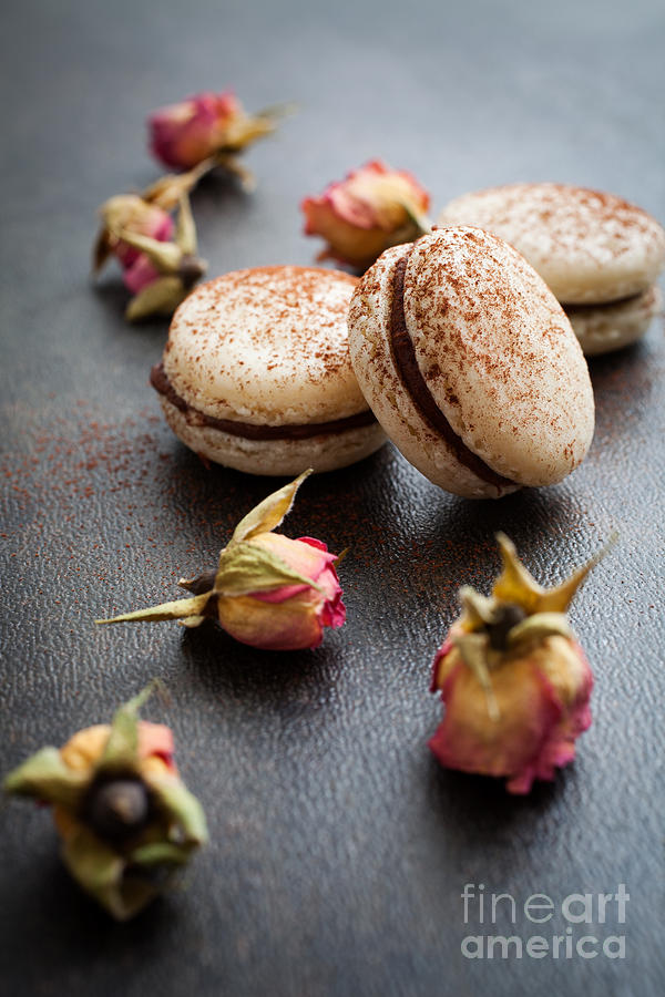 Cake Photograph - French macaroons #6 by Kati Finell